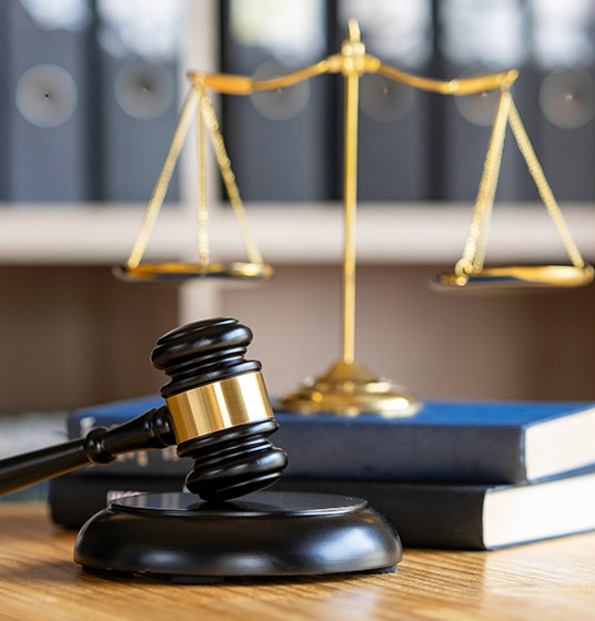 avvocato penalista a Torino